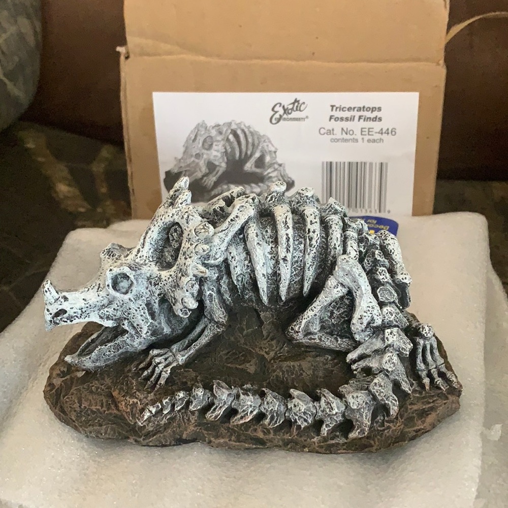 New! Aquarium triceratops fossil decor